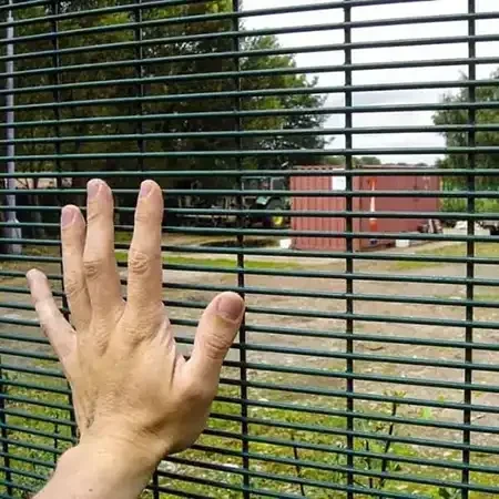 Hand against closely spaced horizontal wires of a 358 mesh fence